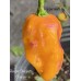 Reaper Sbagliato Orange Pepper Seeds 