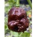 Giant Black Naga Pepper Seeds 