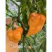 Tom’s Giant Peach Scorpion Pepper Seeds Tom’s Giant Peach Scorpion Pepper Seeds