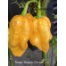 Reaper Sbagliato Orange Pepper Seeds 