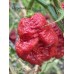 7-Pot Cinder Pepper Seeds 7-Pot Cinder Pepper Seeds