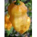Reaper Sbagliato Orange Pepper Seeds 