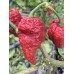 7-Pot Cinder Pepper Seeds 7-Pot Cinder Pepper Seeds