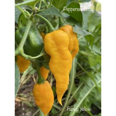 Funky Yellow Pepper Seeds