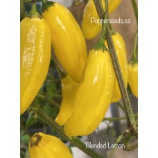 Blended Lemon Pepper Seeds 
