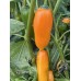 Aji Amarillo Pepper Seeds