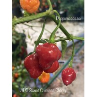 APS Sweet Chinense Cherry Pepper Seeds