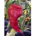 Monkey Face Red Pepper Seeds 