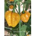 Scotch Bonnet TFM Pepper Seeds Scotch Bonnet TFM Pepper Seeds