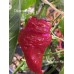 Monkey Face Red Pepper Seeds 