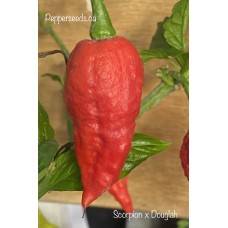 Douglah Scorpion Pepper Seeds 