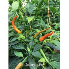 Golden Spike Pepper Seeds