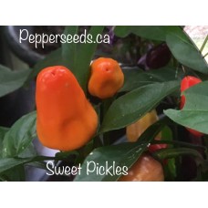 Sweet Pickles