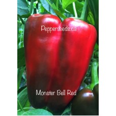 Early Sweet Red Bell Pepper Seeds 
