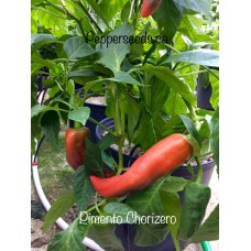 Pimento Chorizero