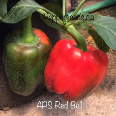 Sweet Red Bell Pepper Seeds 