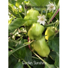 Garden Sunshine Pepper Seeds