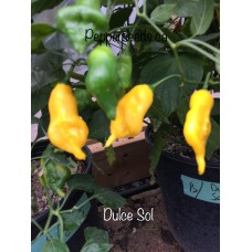 Del Sol Pepper Seeds 