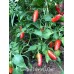 Serrano Monte D'Oro Pepper