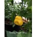Aji Fantasy Pepper Yellow 