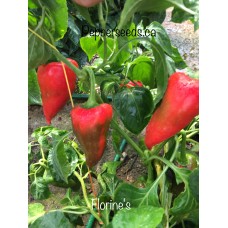Florines Pepper Seeds