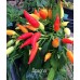 Spagna Pepper Seeds 