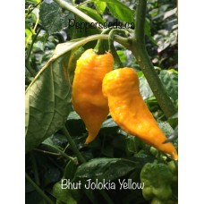 Bhut Jolokia Yellow Pepper