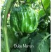 Dulce Morron Pepper Seeds
