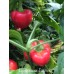 Levtschaver Papricka