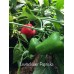 Levtschaver Papricka