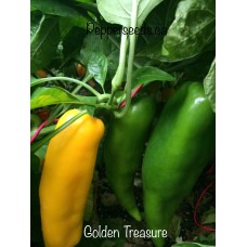 Golden Treasure Pepper Seeds