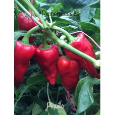 Piquillo Pepper Seeds 