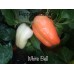 White Bell Pepper Seeds 
