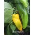 Golden Marconi Pepper Seeds