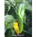 Golden Marconi Pepper Seeds