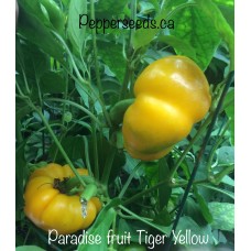 Paradise fruit Tiger Yellow