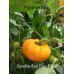 Paradise fruit Tiger Yellow