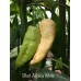 Bhut Jolokia White Pepper