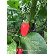 7-Pot Bubble-Gum Jobito Pepper Seeds 