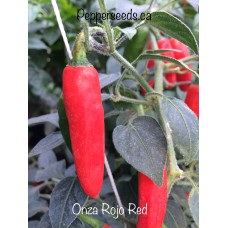 Onza Rojo Red