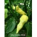 Bhut Jolokia White Pepper