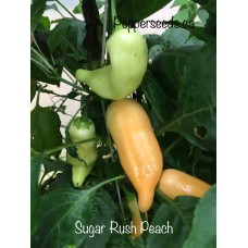Sugar Rush Peach Pepper Seeds 