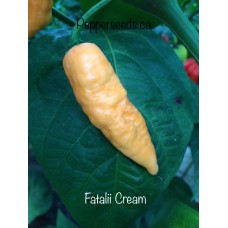 Fatalii Cream Pepper Seeds 