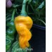 Lucifer's Dream Pepper Seeds