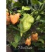 7-Pot Peach Pepper Seeds