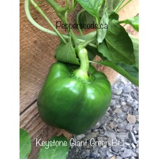 Keystone Giant Green Bell