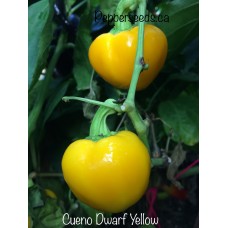 Cueno Dwarf Yellow Pepper Seeds 