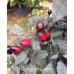 Bellingrath Pepper