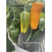 Candy Cane Orange Pepper Seeds 