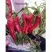 Krimzon Lee Pepper Seeds 